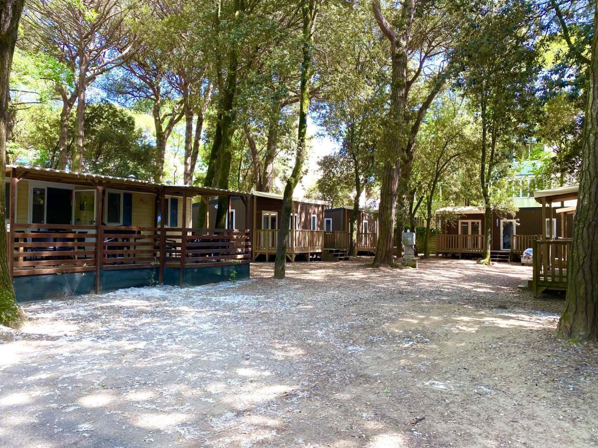 Dena Chalets - Lido Di Spina At The Beach 외부 사진